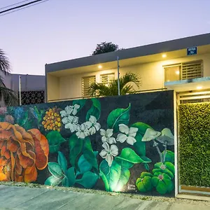  Apartamento Gaia México